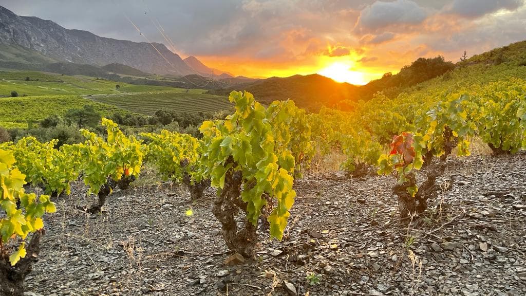 Pyrenean Sunsets