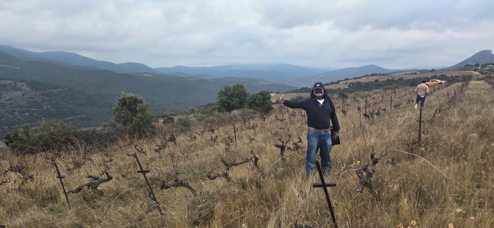 A Stroll Through the Vineyard photo 12
